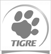 tigre22